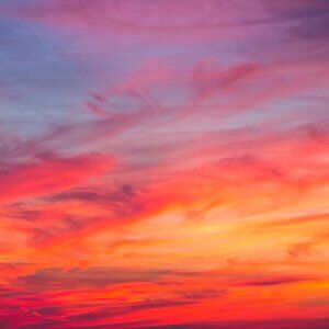 Meet your Posher, Kirolous